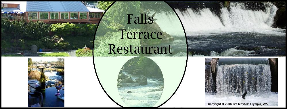 Welcome to the Falls Terrace